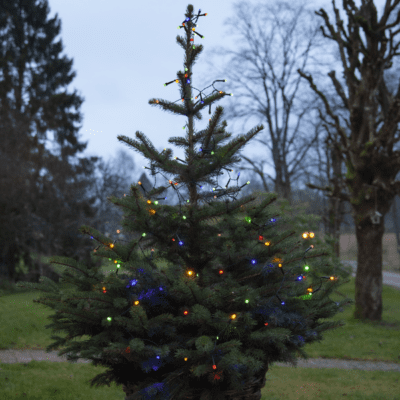 Ośmiofunkcyjne lampki choinkowe multikolor 6m
