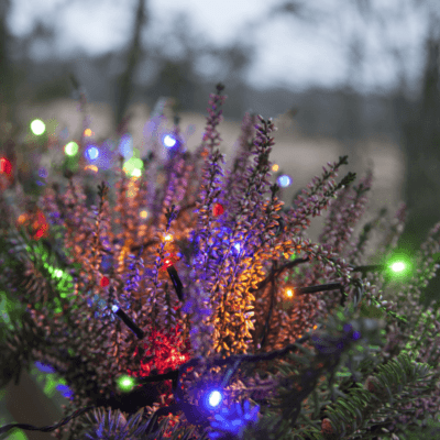 Kolorowe lampki Micro-LED 1800 cm