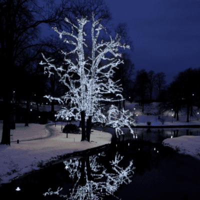 Lampki LED PRO z zimnym światłem 500 cm