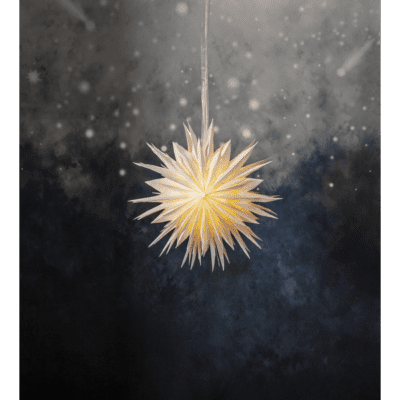 Elena Gwiazda świąteczna w białym kolorze