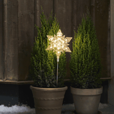 Dekoracyjna gwiazda ogrodowa Winter