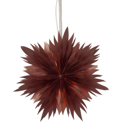 Elliott czerwona gwiazda świąteczna