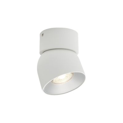 Prosty reflektor sufitowy Pitcher o delikatnym kolorze