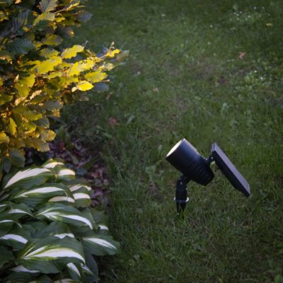 Solarny reflektor zewnętrzny Baylee w czarnym kolorze