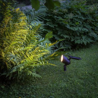 Solarny reflektor ogrodowy Chloe