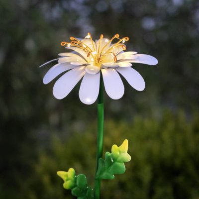 Solarna dekoracja ogrodowa Daisies w białym kolorze