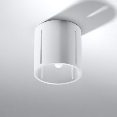 Biały spot sufitowy Erica o prostym designie