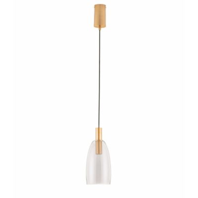 Pojedyncza lampa wisząca Iquitos C na złotym stelażu