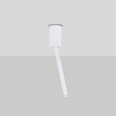 Prosty reflektor sufitowy Abapo - regulowany