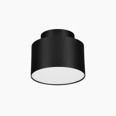 Metalowy spot sufitowy Alvear LED do salonu