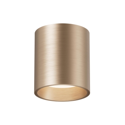 Spot sufitowy LED z funkcją ściemniania Strax - kolor szampański