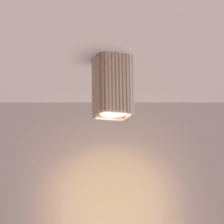 ozdobny-aluminiowy-spot-sufitowy-do-przedpokoju